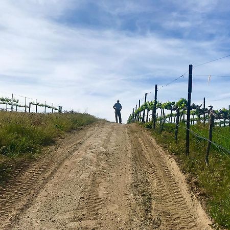 テメキュラ Domaine Chardonnay Bed & Breakfast エクステリア 写真