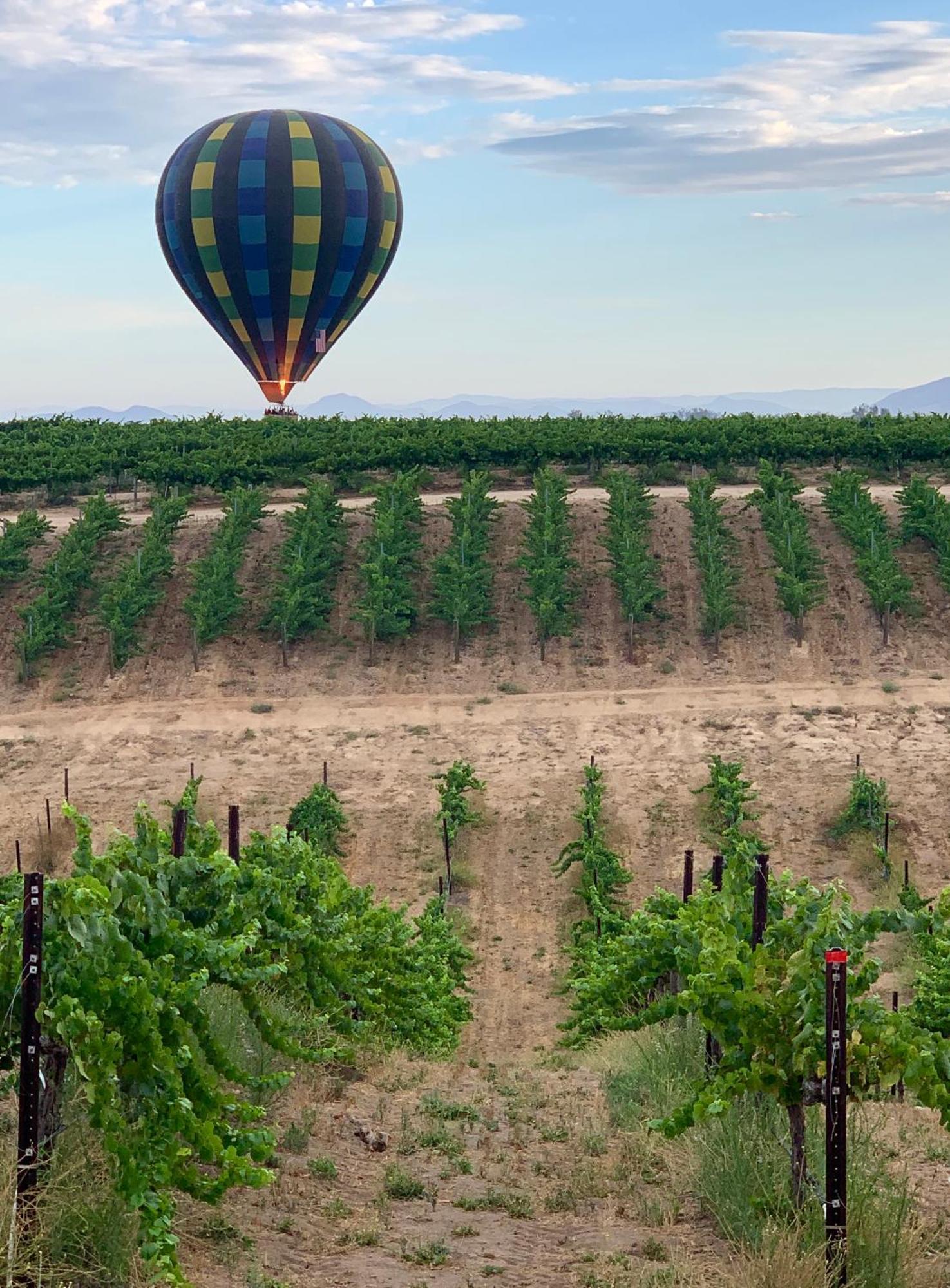 テメキュラ Domaine Chardonnay Bed & Breakfast エクステリア 写真